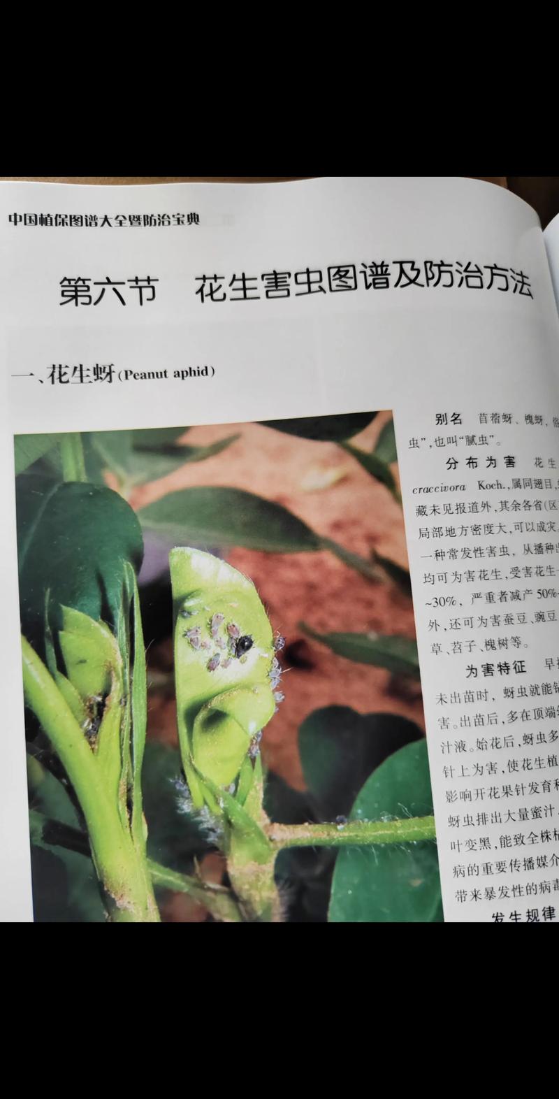 智慧农业