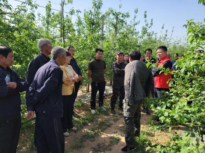 山东农业技术咨询：助农增收新篇章